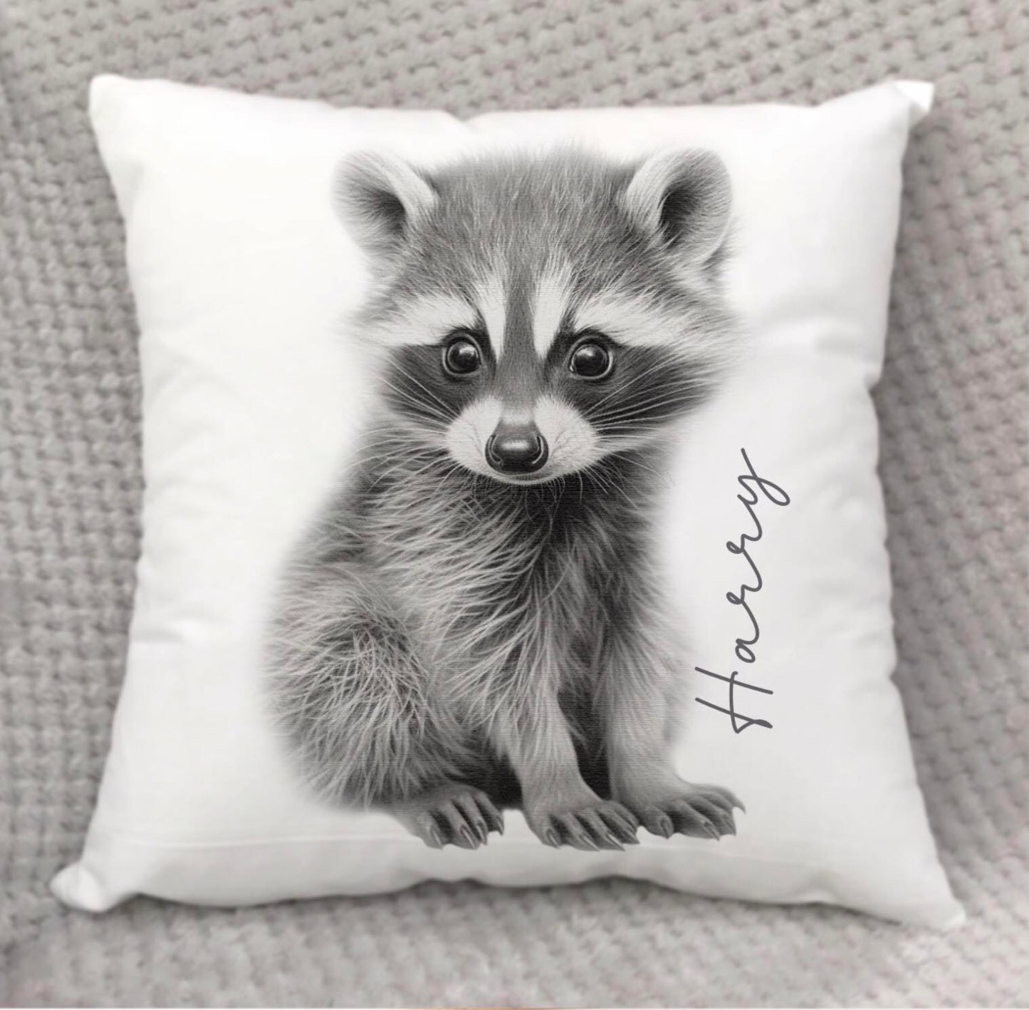 Raccoon Cushion